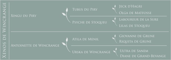 Pédigré Xenos de Wincrange
